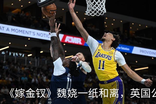 《嫁金钗》魏娆一纸和离，英国公府炸了锅！才懂贺婉娘为何拼死拦