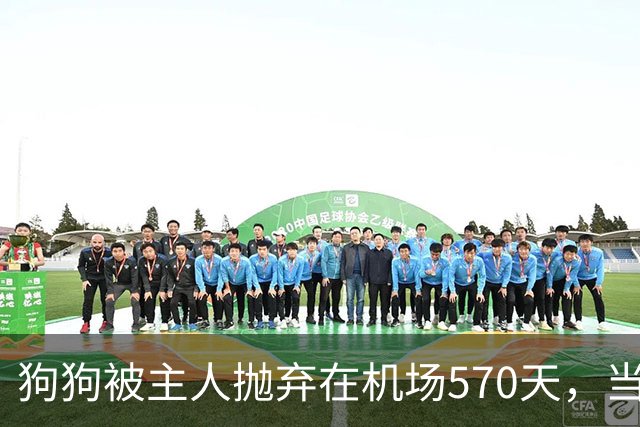 狗狗被主人抛弃在机场570天，当主人回来接它时，看哭了所有人